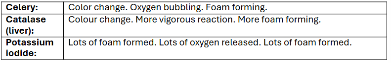 A table with catalysts and their observations.