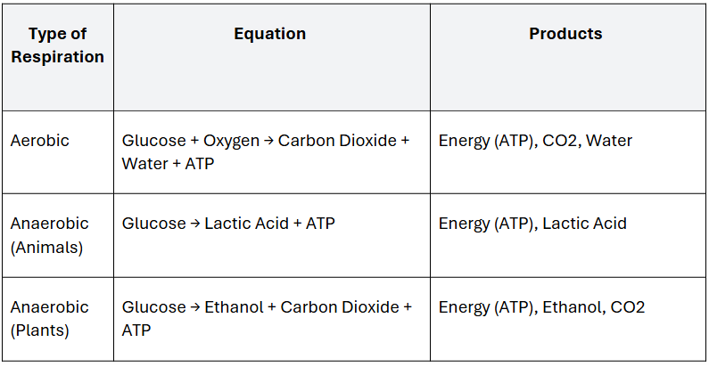 Table of respiration types, equations and products.