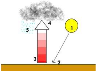 Diagram of convectional rainfall.